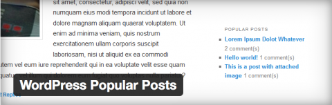 Wordpress Popular Postsプラグインのイメージ