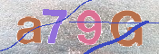 キャプチャ画像