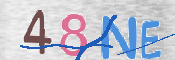 キャプチャ画像